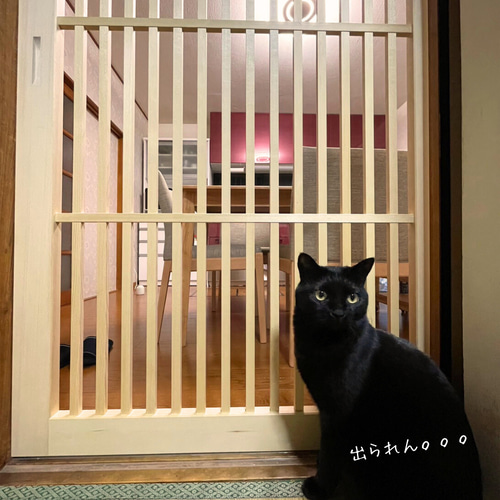 猫ちゃん 脱走防止引き戸 パーテーション・間仕切り nekodoorshop 通販｜Creema(クリーマ) 16082076