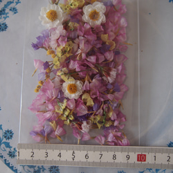 ドライフラワー　ミックス　ｓｅｔ　 キャンドル　ハーバリウム　レジン　素材　花材　封入　 7枚目の画像