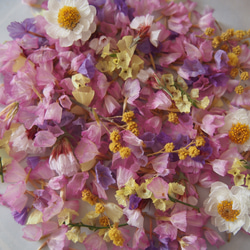 ドライフラワー　ミックス　ｓｅｔ　 キャンドル　ハーバリウム　レジン　素材　花材　封入　 4枚目の画像