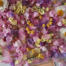 ドライフラワー　ミックス　ｓｅｔ　 キャンドル　ハーバリウム　レジン　素材　花材　封入　 5枚目の画像