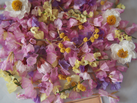 ドライフラワー　ミックス　ｓｅｔ　 キャンドル　ハーバリウム　レジン　素材　花材　封入　 5枚目の画像