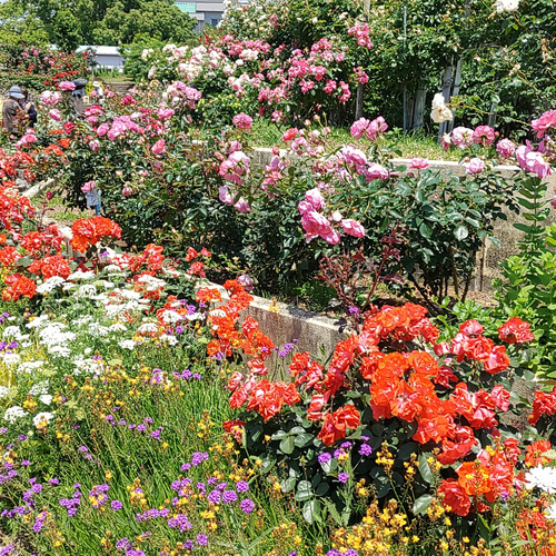ハンドメイド　気まぐれポーチ　パッチワーク　ピンク　花 パッチワーク教室 2017年4月号 (発売日2017年03月04日) | 雑誌/定期