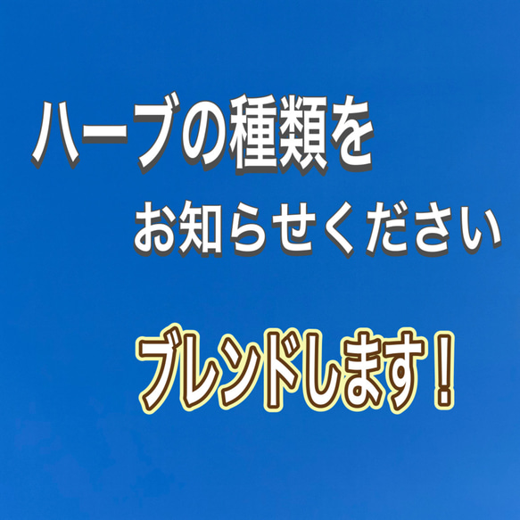 ハーブ　ミント　オリジナルハーブ用土　貝化石　育ちが違う　植え付け　植え替え　品種に応じてブレンドいたします。 2枚目の画像