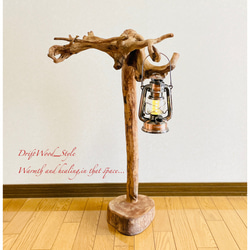 流木インテリア 芸術的に木の根がうねる流木スタンド ランタンやエアプラントを飾れる置物 北欧 照明 木材 癒し N6 1枚目の画像