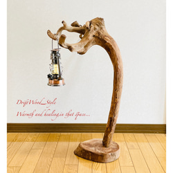 流木インテリア 芸術的に木の根がうねる流木スタンド ランタンやエアプラントを飾れる置物 北欧 照明 木材 癒し N6 8枚目の画像