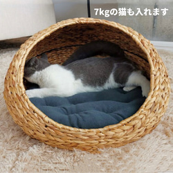 手編み猫用ラタンベッド　天然素材 3枚目の画像