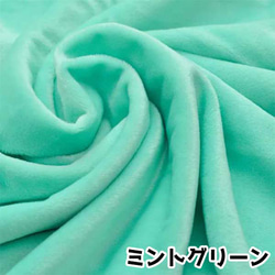 【難得取得】水晶蟒蛇絨毛玩具布料薄荷綠 第1張的照片