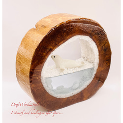 一つ限りの流木アート 流氷のゴマフアザラシ ジオラマ 流木 フィギュア インテリア レジン 置物 動物 アザラシ N2 10枚目の画像