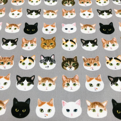 1570．ゆきだるま様オーダー分 ねこ猫ネコ柄 お薬手帳&診察券 