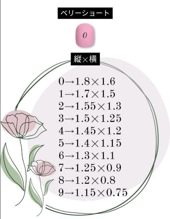  第5張的照片