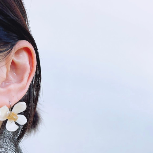 ドクダミのお花 フックピアス ピアス（フック・チェーン） NaturalRich