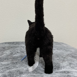 オーダーメイド猫人形　Mサイズ 7枚目の画像