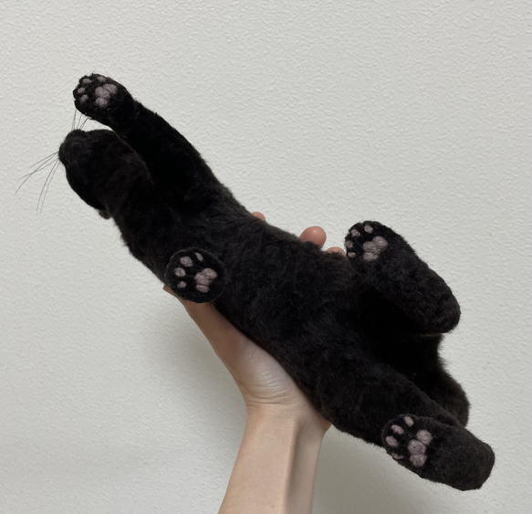 オーダーメイド猫人形　Mサイズ 10枚目の画像