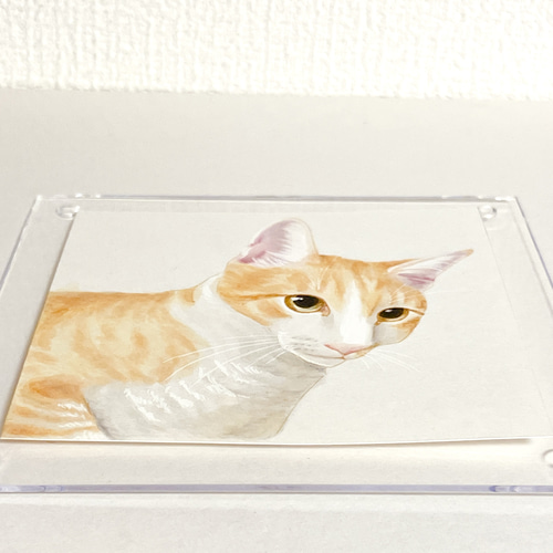 猫限定】うちの子・ペット似顔絵オーダーメイド 額付きミニ