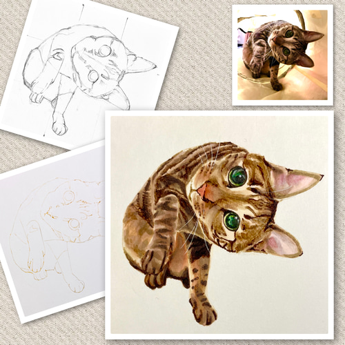 ペットの似顔絵 ネコ似顔絵 オーダーメイド リアル イラスト