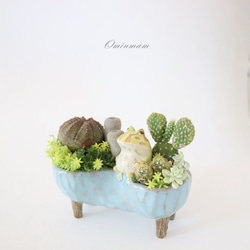 ツノガエル（ ライムグリーンアルビノ ） お豆型の青い植木鉢 2枚目の画像