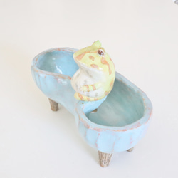 ツノガエル（ ライムグリーンアルビノ ） お豆型の青い植木鉢 6枚目の画像
