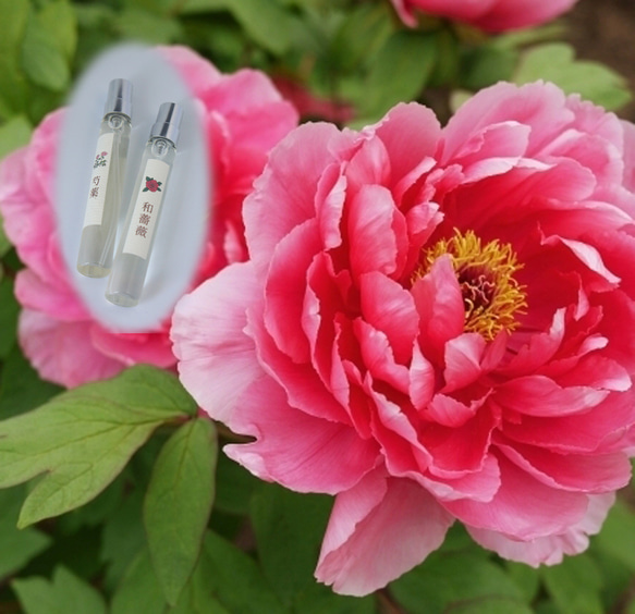 期間限定10％Off】「重ねて牡丹風ノ香」 芍薬＆和薔薇 2本