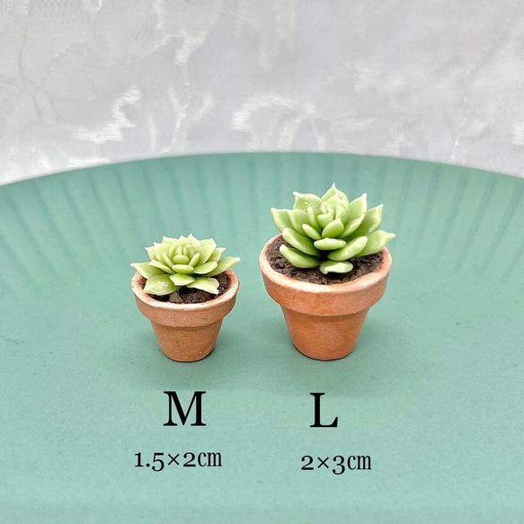 多肉植物の鉢植えストラップ（エケベリアLサイズ/ブラウン） 4枚目の画像