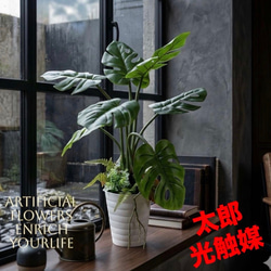 光触媒　人工観葉植物　ウォールグリーン　フェイクグリーン　モンステラ12080 光触媒 人工観葉植物 ウォールグリーン フェイクグリーン oモンステラh