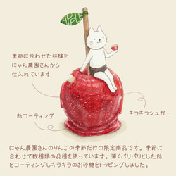 選べるりんご飴とネコぱんのTシャツ【受注制作】 3枚目の画像