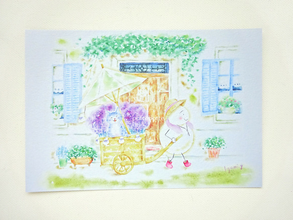 ✻ ラベンダー売り / ポストカード / no.158 2枚目の画像
