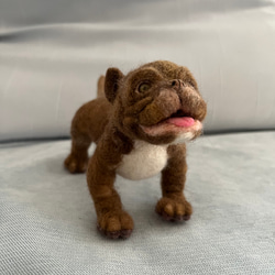 羊毛フェルト　スローロリス レッサースローロリスの全身に色がつきました🎶 二本足で自立はしま