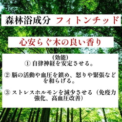 【世界に1本だけ】長寿の木・屋久杉のボールペン　長寿を祈る贈り物に　cnsp1046 11枚目の画像