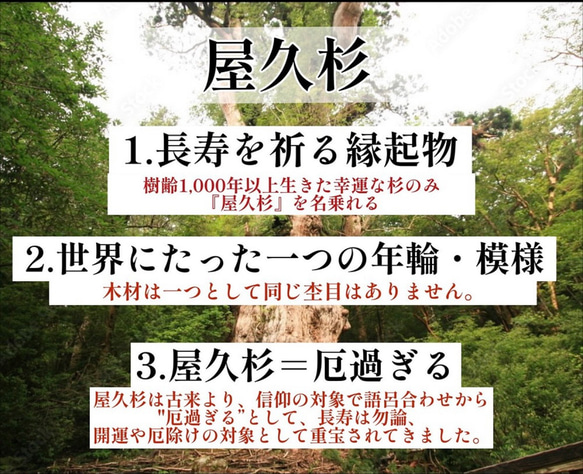 【世界に1本だけ】長寿の木・屋久杉のボールペン　長寿を祈る贈り物に　cnsp1046 10枚目の画像