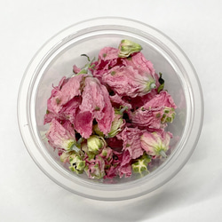 Delphinium 　No.102   デルフィニウム　ピンク　自然色　無着色 2枚目の画像