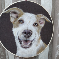 【ウールペインティング】羊毛フェルト、犬、フェルトペインティング、刺繍枠 5枚目の画像