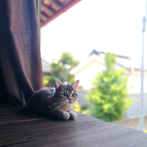 ☆愛猫オーダーメイドXL☆全身タイプ 等身大 羊毛フェルト ねこ