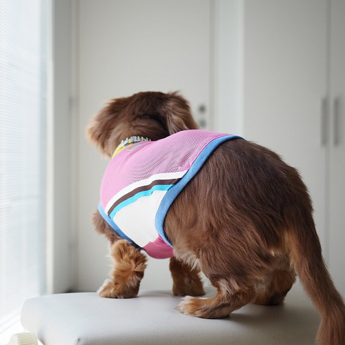 ほちちちゃん♡ ハンドメイド 犬服 犬の服