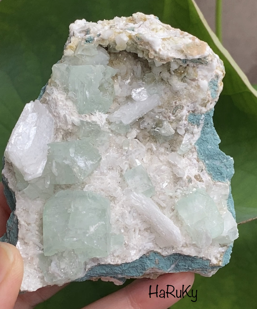 ナチュラル鉱物標本 グリーンアポフィライト♢アポフィライト 原石 11