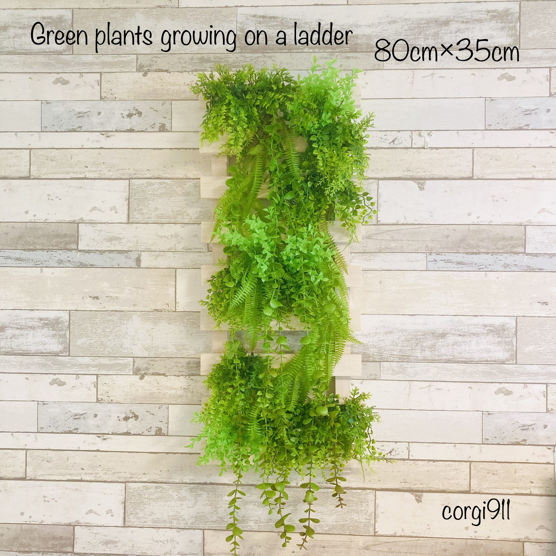 はしごグリーン 80cm×35cm 4,965円