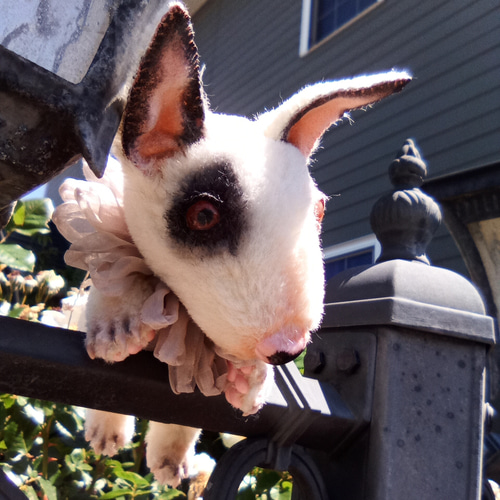 5％OFF】 ブルテリア・ぶるちゃん✨٩(๑´3｀๑)۶１８センチ✨✨アルパカ