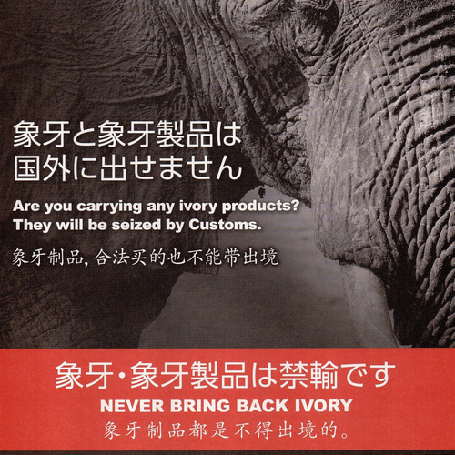 本象牙 アイボリーカービング「花かご/flower basket」 かごバッグ