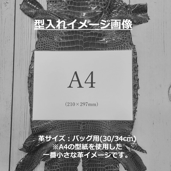 ワニ革  グレージング(艶)  パーシモン「バッグ製作向け・幅30/34」 No.CM0115(5146) 8枚目の画像