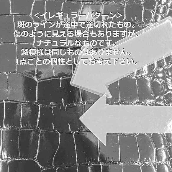 ワニ革  グレージング(艶)  パーシモン「バッグ製作向け・幅30/34」 No.CM0115(5146) 13枚目の画像