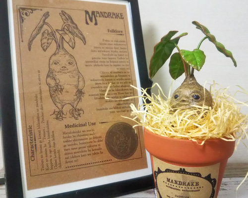 e303dd8f4e4bc84f4c581577995a2f