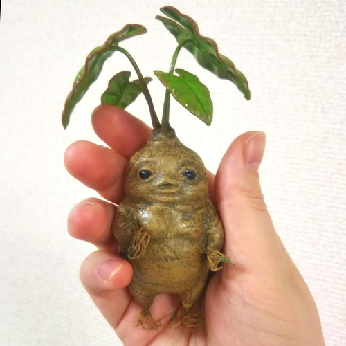 マンドレイク 鉢付き その他置物 handmade 夢鹿 通販 16093893｜Creema