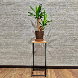 観葉植物台　サイドテーブル　プランターラック　フラワースタンド 3枚目の画像