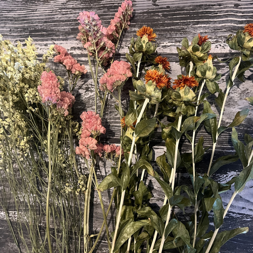 夏のお花 ドライフラワー 花材 3種類セット✿ その他素材 maaaachin