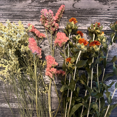 夏のお花 ドライフラワー 花材 3種類セット✿ その他素材