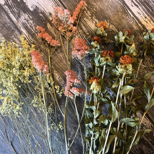 夏のお花 ドライフラワー 花材 3種類セット✿ その他素材