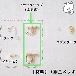 【受注制作】カンタロープアイスクリームかき氷ドリンクの耳飾り 樹脂粘土 ピアス＆イヤリング 緑 レモンイエロー 11枚目の画像