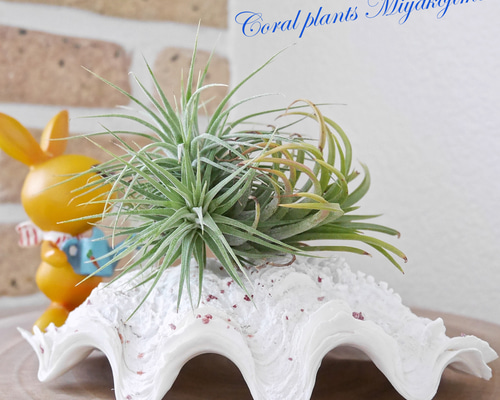 fcd4d127d0ef1085b7bdb95964160d