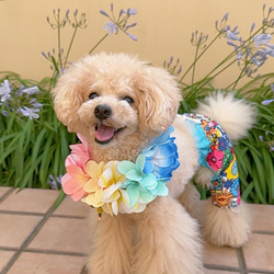 ぱん様犬服ハンドメイドオーダー品