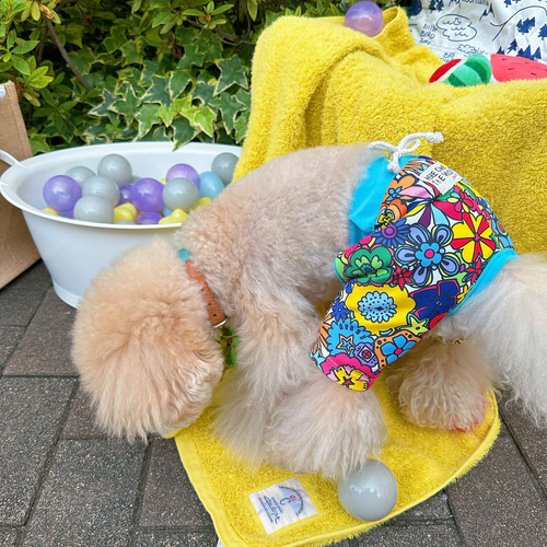 水着 海パン 男の子 夏服 コスチューム ワンコ服 犬服 ドックウェア 花