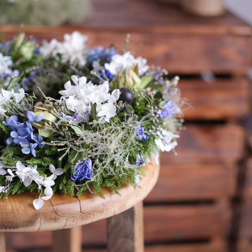 リーススモークツリー紫陽花